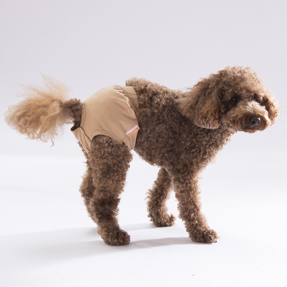 PawStar Düz Renkler 2 Çamaşır (Paket de Farklı  Renkte 3 Adet Bulunur)