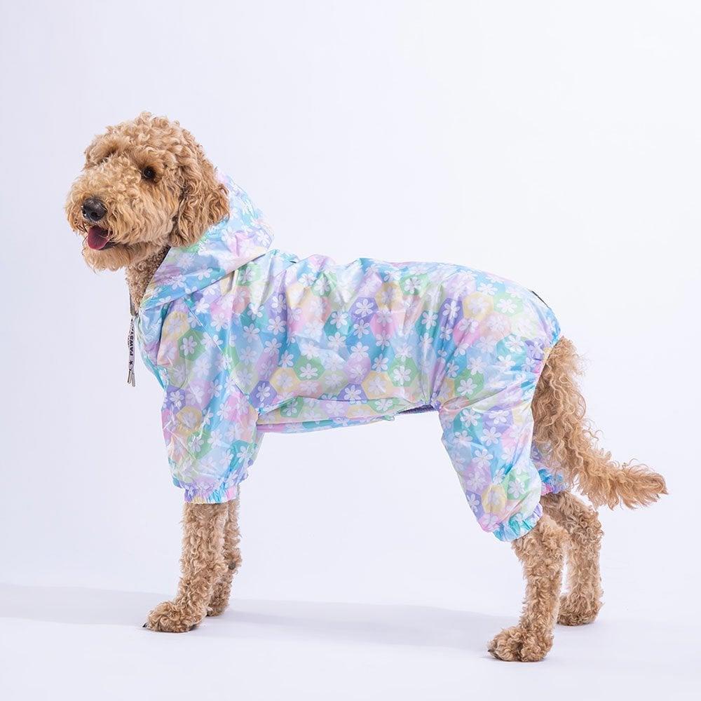 PawStar 23563 Flores  Büyük Irk Yağmurluk
