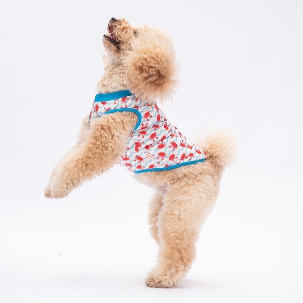 PawStar Fun Crabs  T-Shirt Küçük Irk