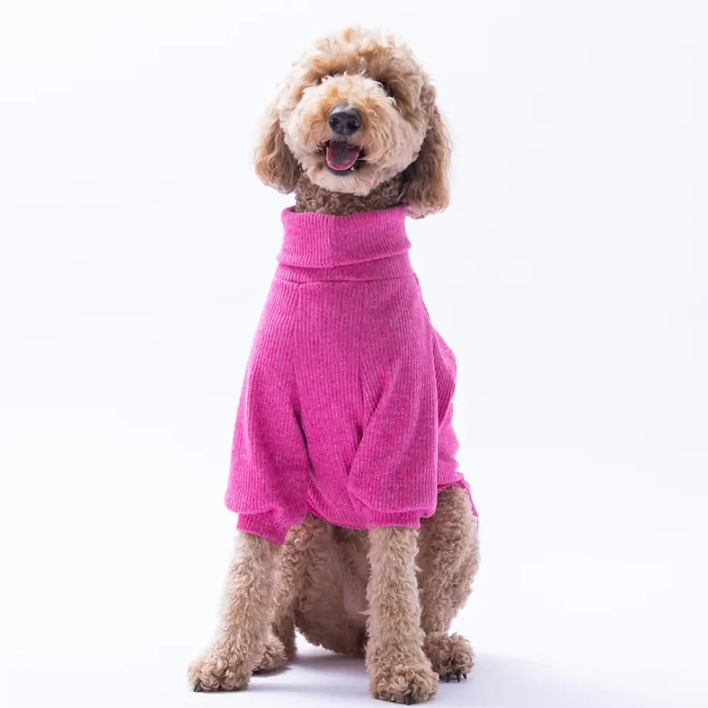 PawStar Fuşya Poohs Ashdown Piglet Büyük Irk Triko Sweat