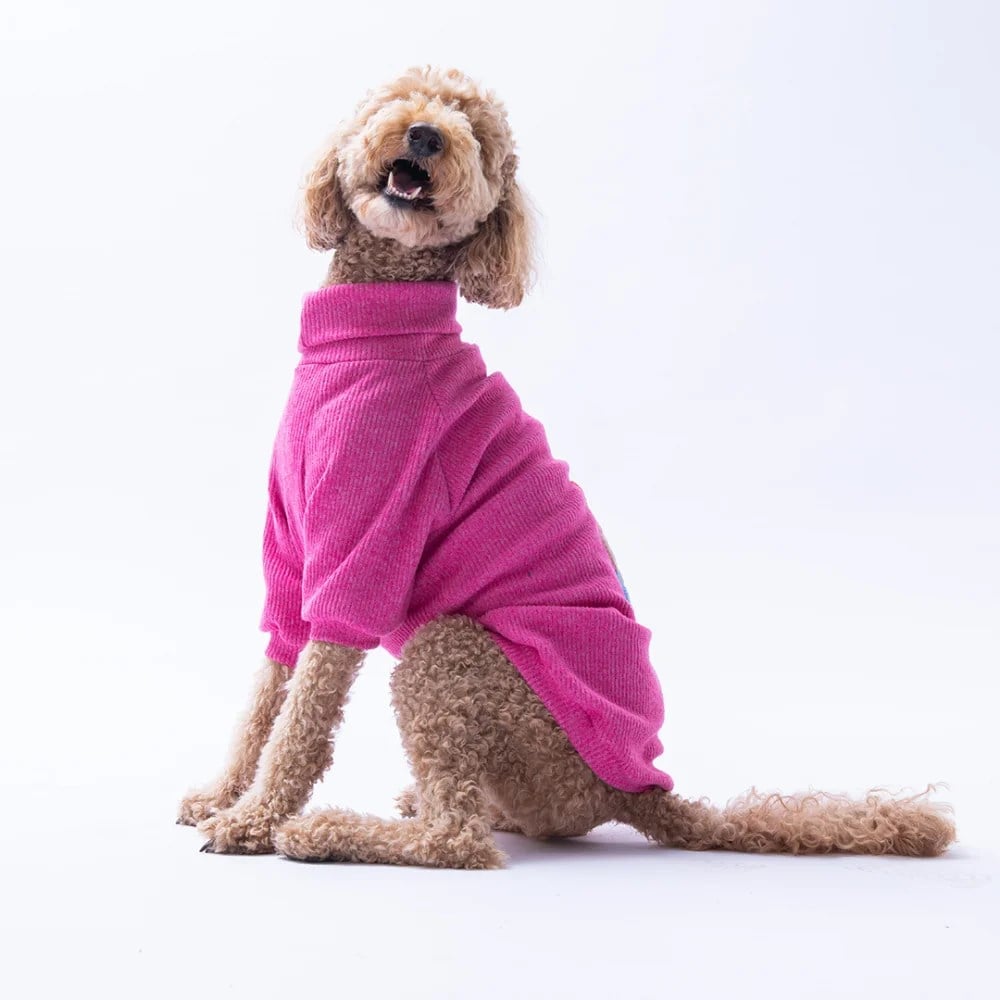 PawStar Fuşya Poohs Ashdown Piglet Büyük Irk Triko Sweat