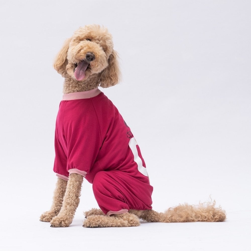 PawStar Go Teddy Bear Büyük Irk Pijama Tulum