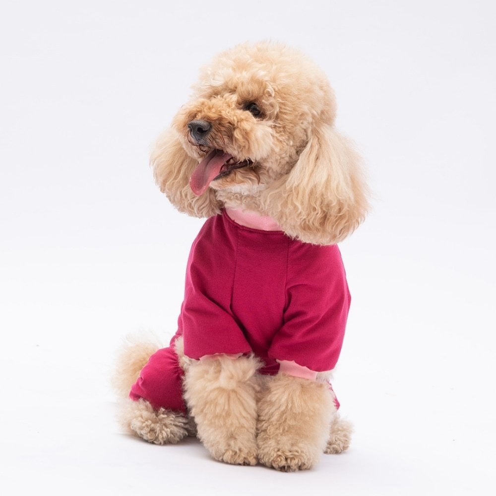 PawStar Go Teddy Bear Pijama Tulum