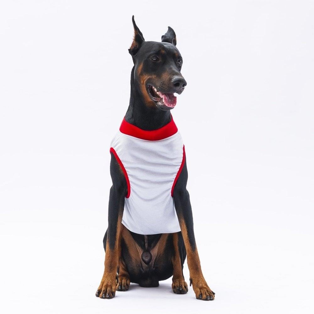 PawStar Gri Summer Büyük Irk T-Shirt
