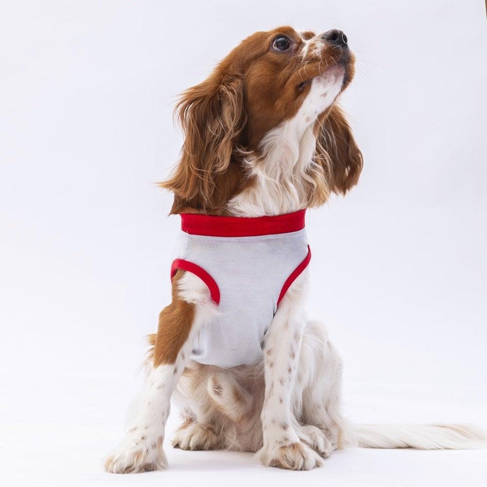 PawStar Gri Summer Time T-Shirt