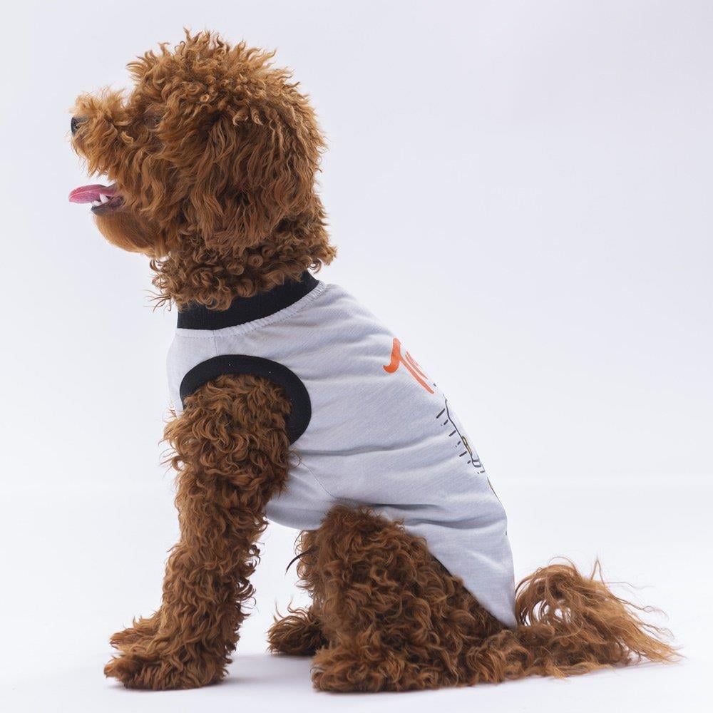 PawStar Gri Travel T-Shirt