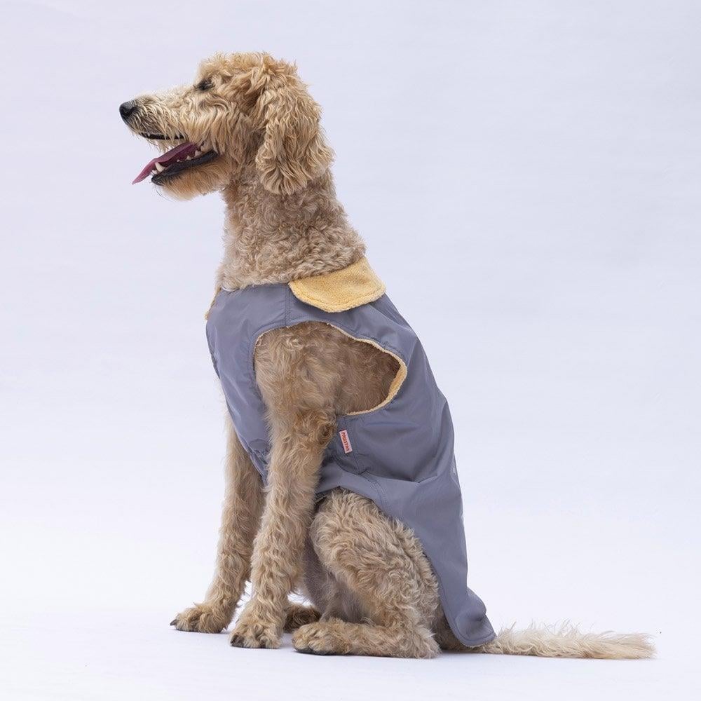 PawStar Gri Yukon Büyük Irk Kolsuz Yelek