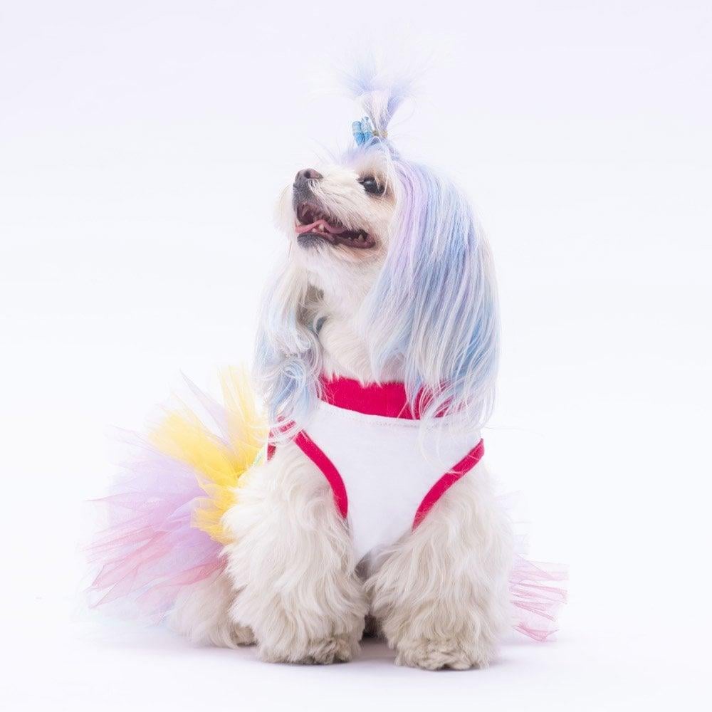 PawStar Happy Birthday Elbise