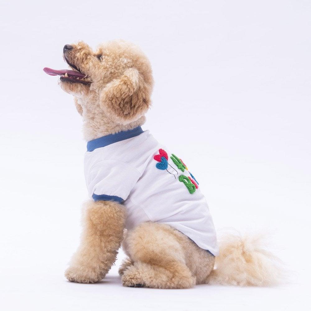 PawStar 24733 Happy Birthday Sweat