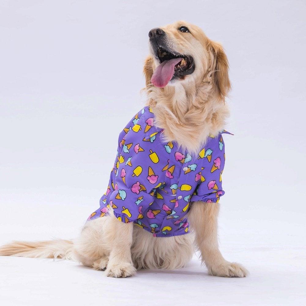 PawStar Ice Cream Büyük Irk Gömlek
