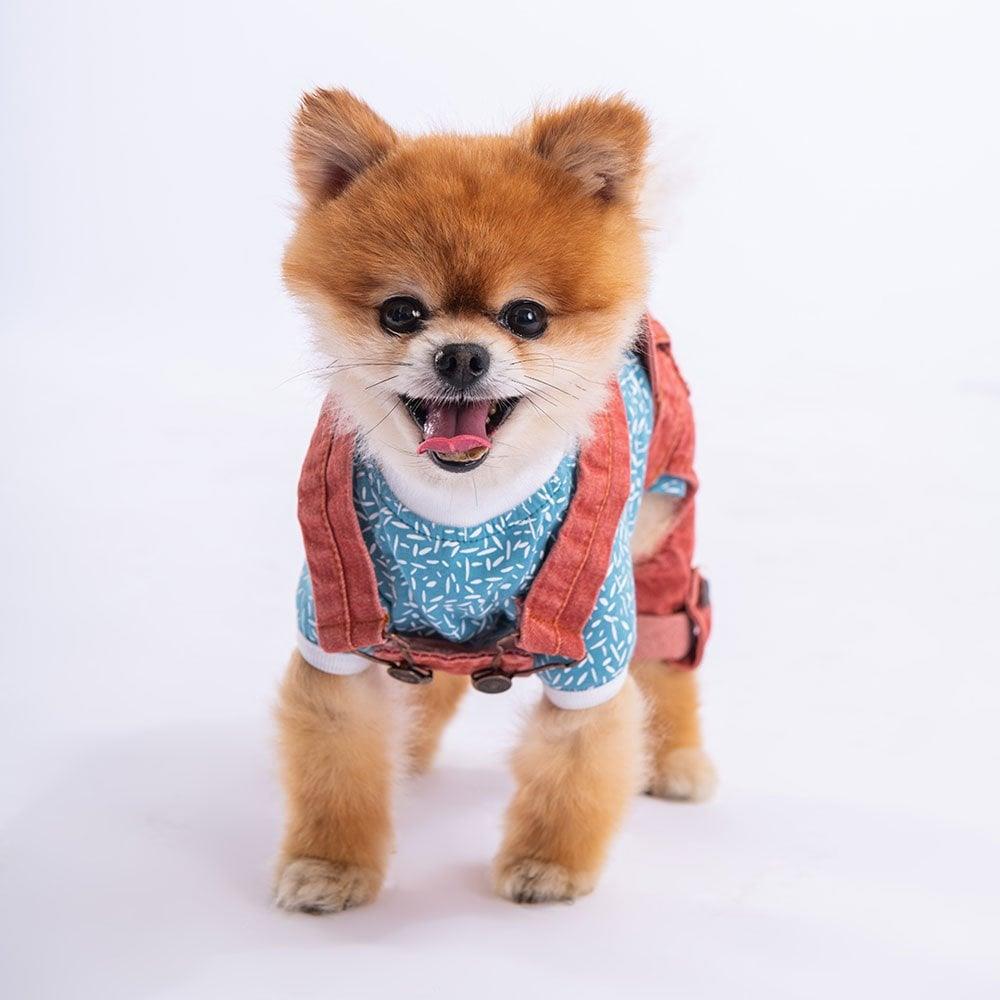 PawStar Red 2-Pack Denim Salopet Small and Medium Jumpsuit