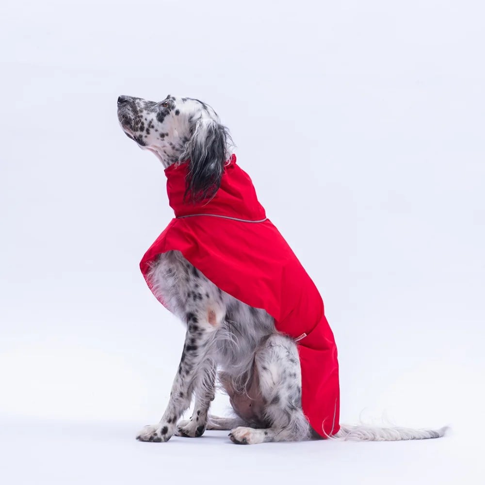 PawStar Kırmızı Colombia Prime Yağmurluk Orta-Büyük Irklar