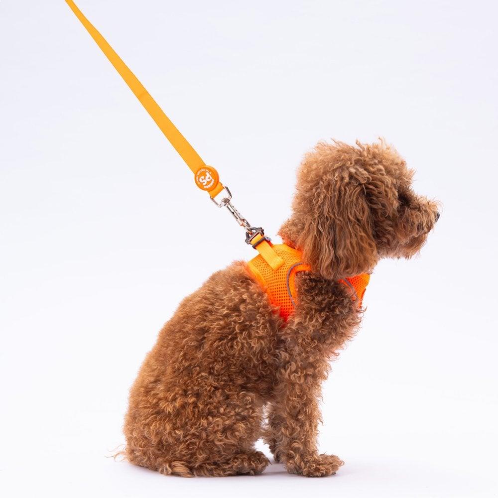 PawStar L02 Neon Turuncu Sevk Kayışı