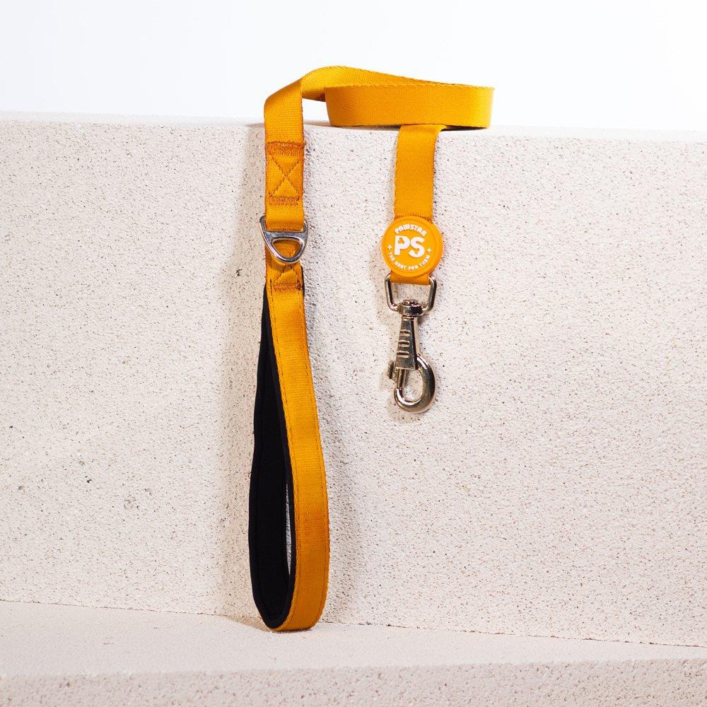 PawStar L07 Gold Sevk Kayışı