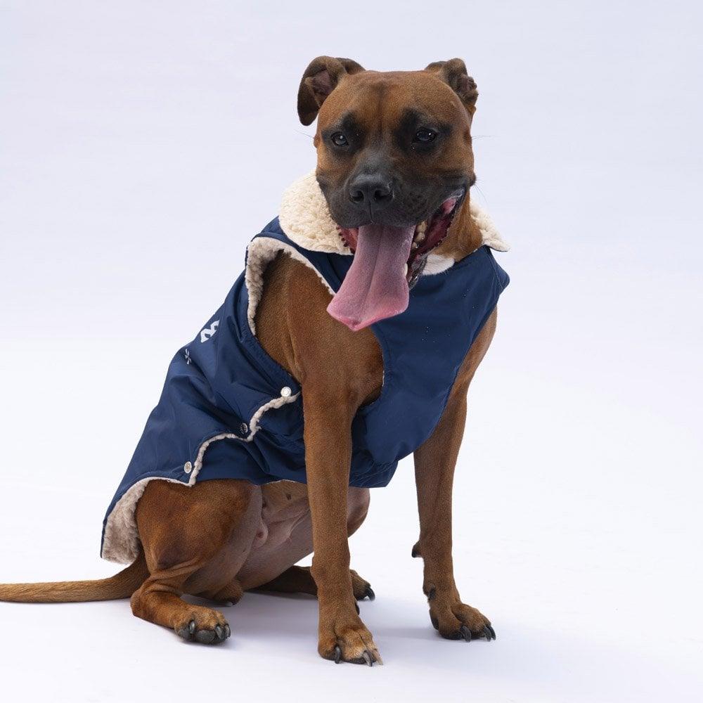 PawStar Lacivert  Yukon Büyük Irk Kolsuz Yelek