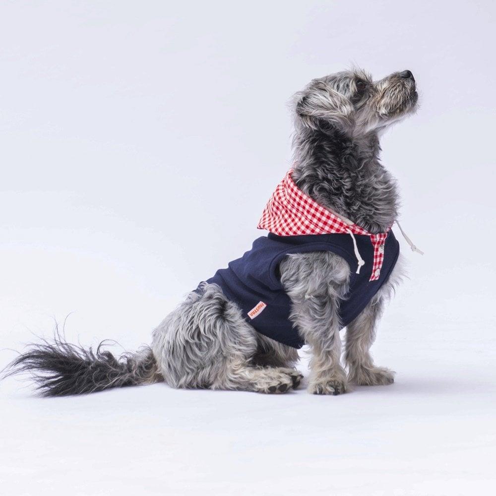 PawStar Lacivert Gingham Kapşonlu Polo T-Shirt