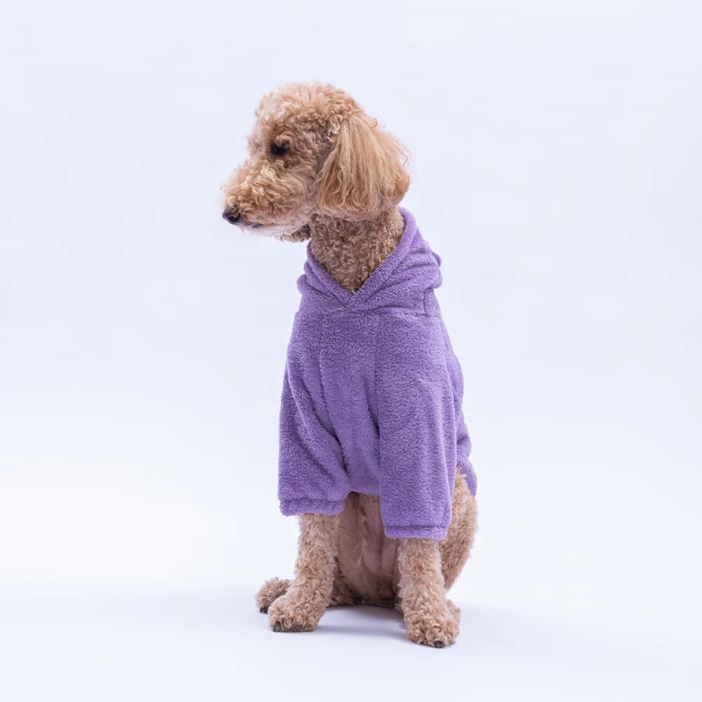 PawStar Lila Lucca Teddy Büyük Irk Hoodie