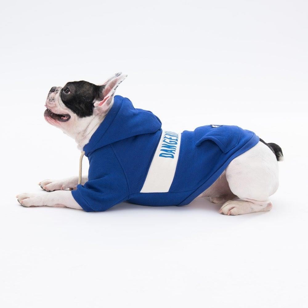 PawStar Mavi Cute Hoodie Küçük ve Orta Irk