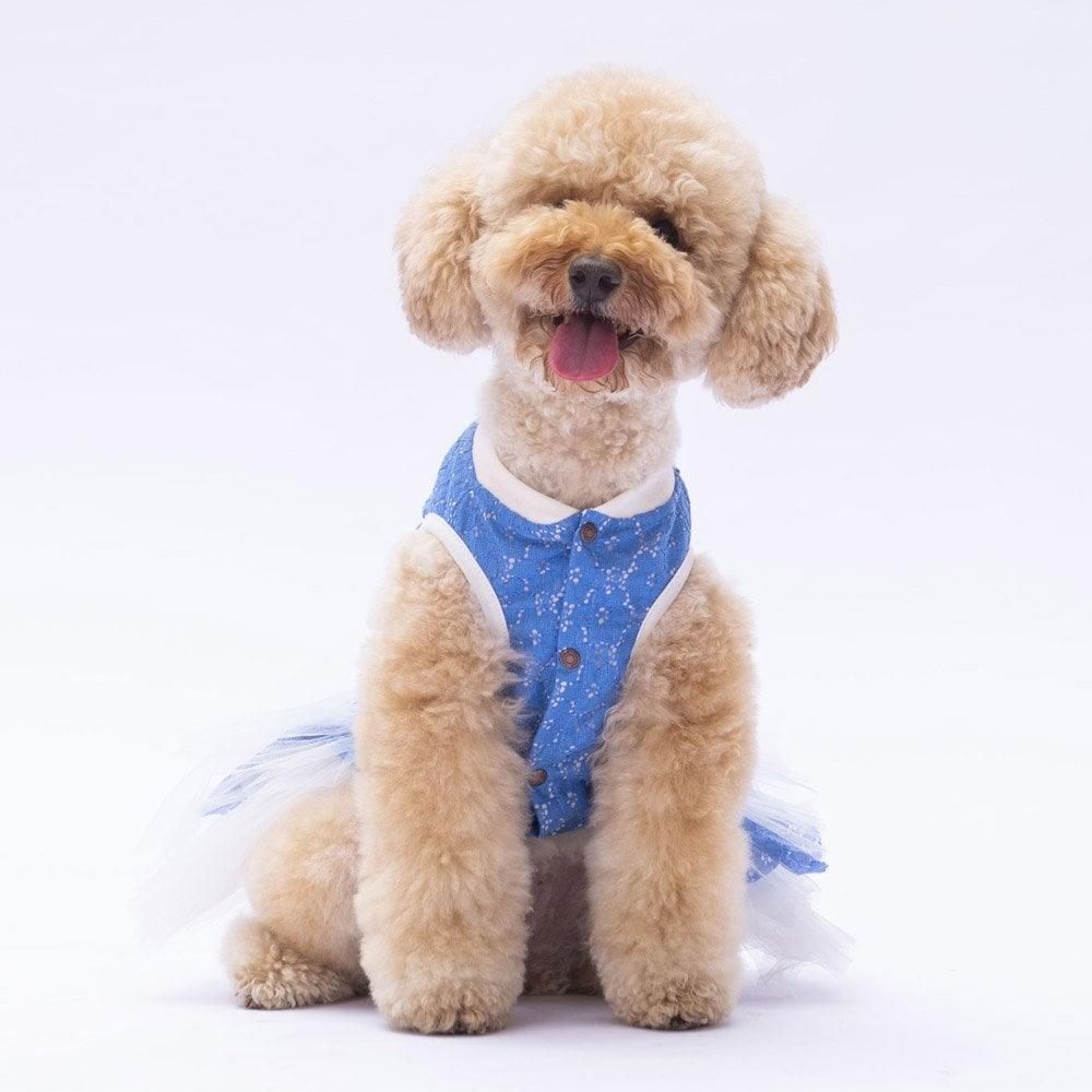 PawStar Mavi Primavera Elbise