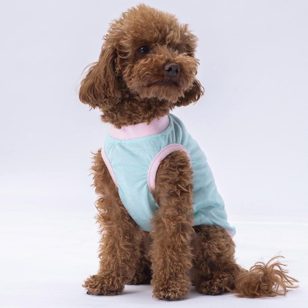 PawStar Mint Joy Large Breed T-Shirt