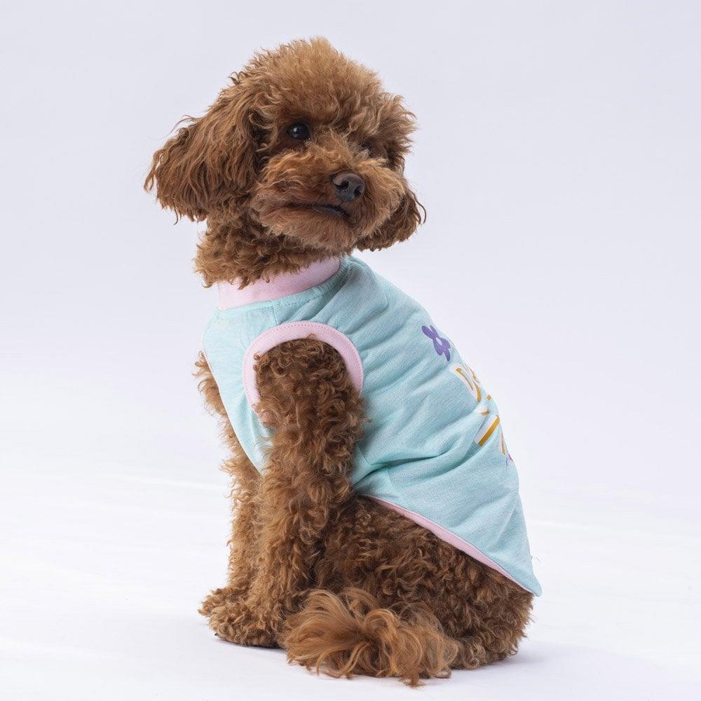 PawStar Mint Joy Large Breed T-Shirt
