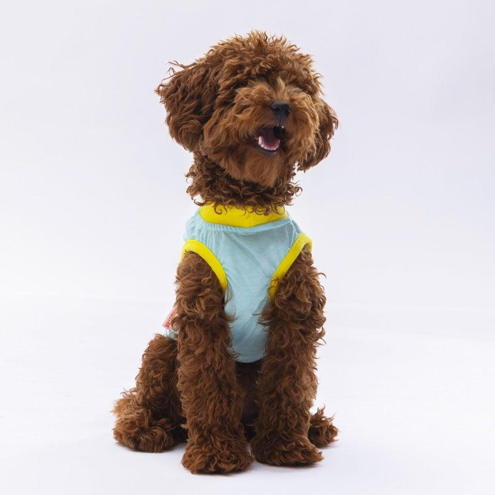 PawStar Mint Sunrise T-Shirt