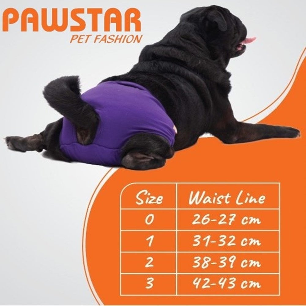 PawStar Mix Çiçekli Çamaşır (Paket de Farklı  Renk ve Desen de 3 Adet Bulunur)