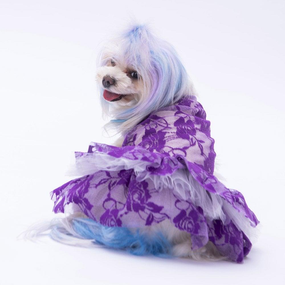 PawStar Mor Rosa Elbise