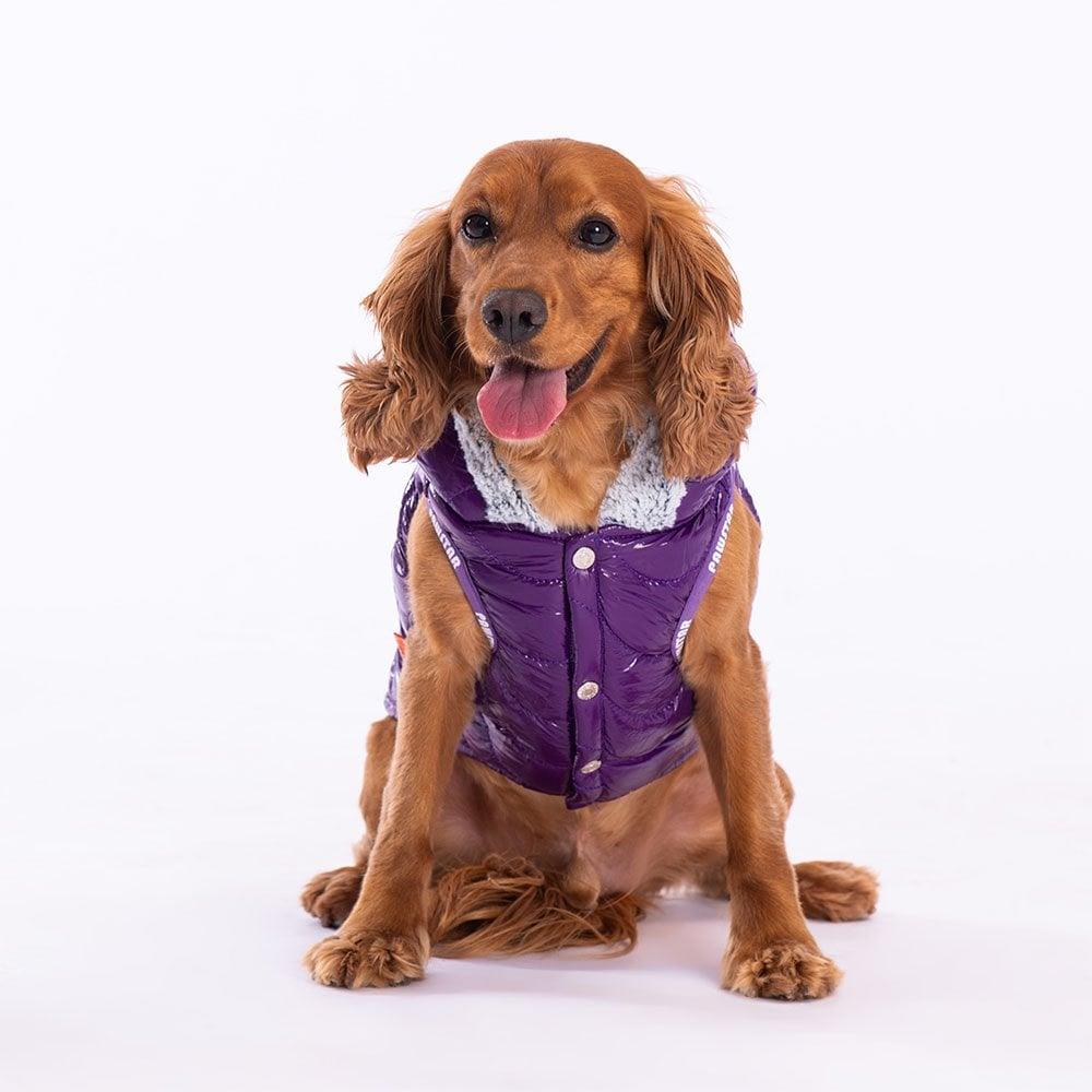 PawStar More Light Wave Vest Small and Medium Breed Raincoat