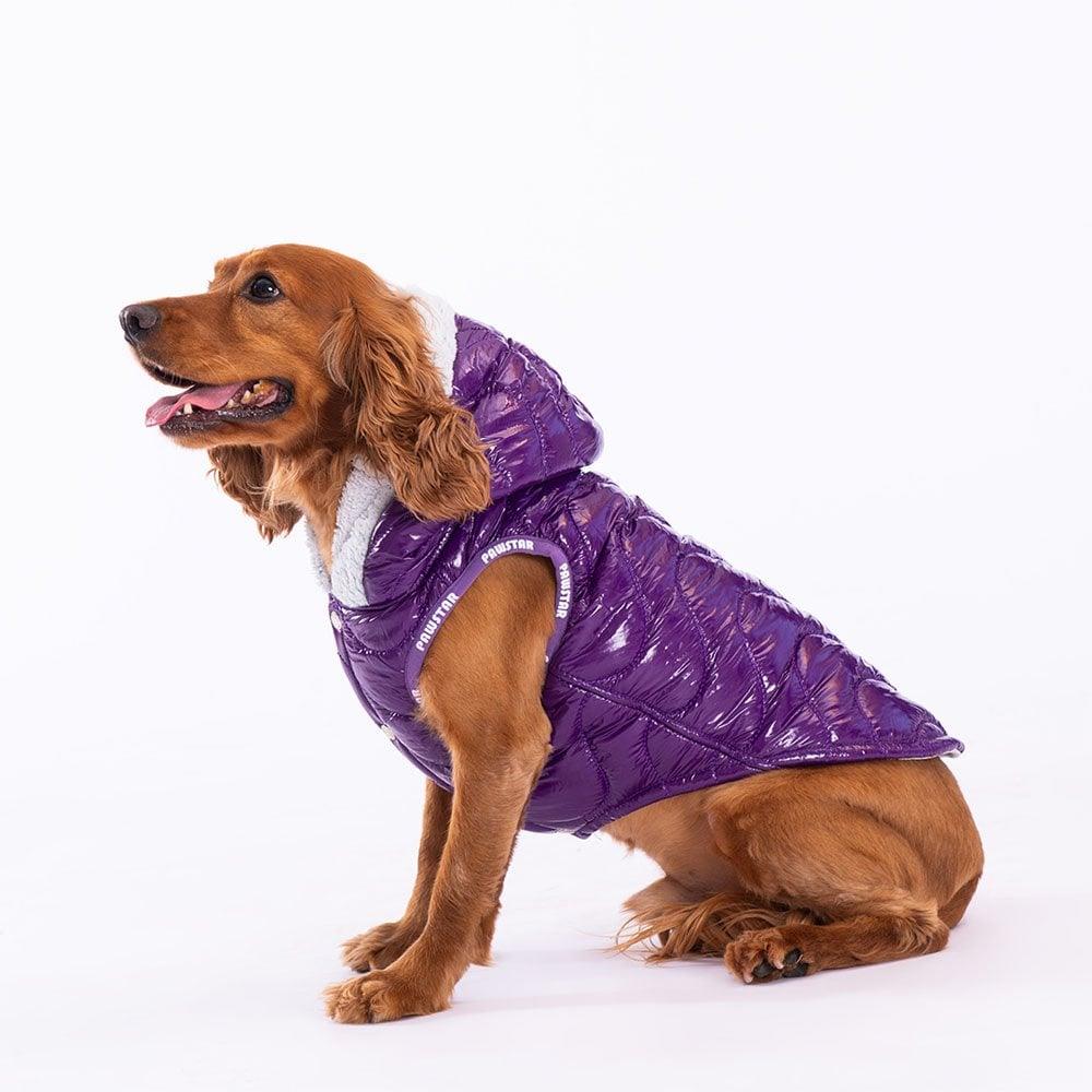 PawStar More Light Wave Vest Small and Medium Breed Raincoat