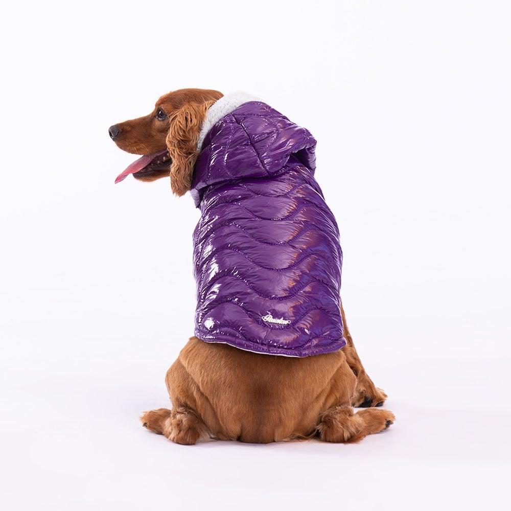 PawStar More Light Wave Vest Small and Medium Breed Raincoat