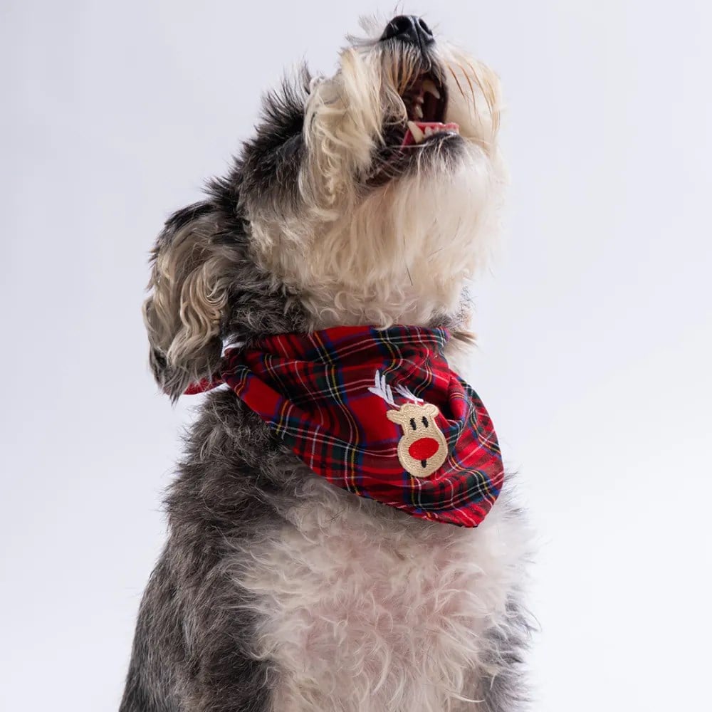 PawStar NYB Noel-Yılbaşı Bandana Seti 3 adet