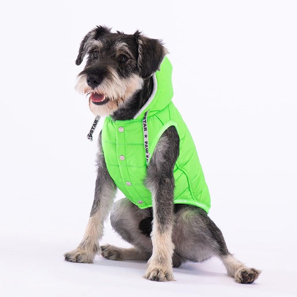 PawStar Neon Green Railway Small and Medium Breed Vest