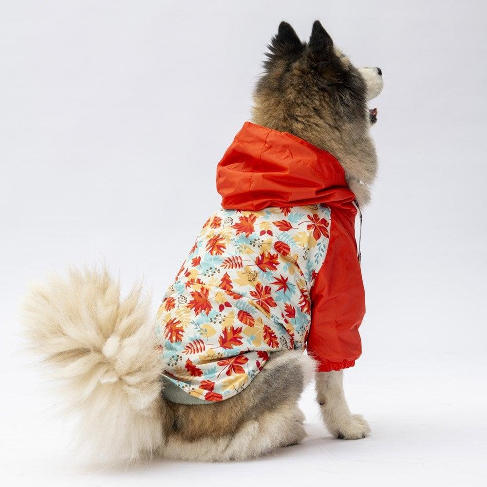 PawStar 24564 Ottawa Büyük Irk Yağmurluk