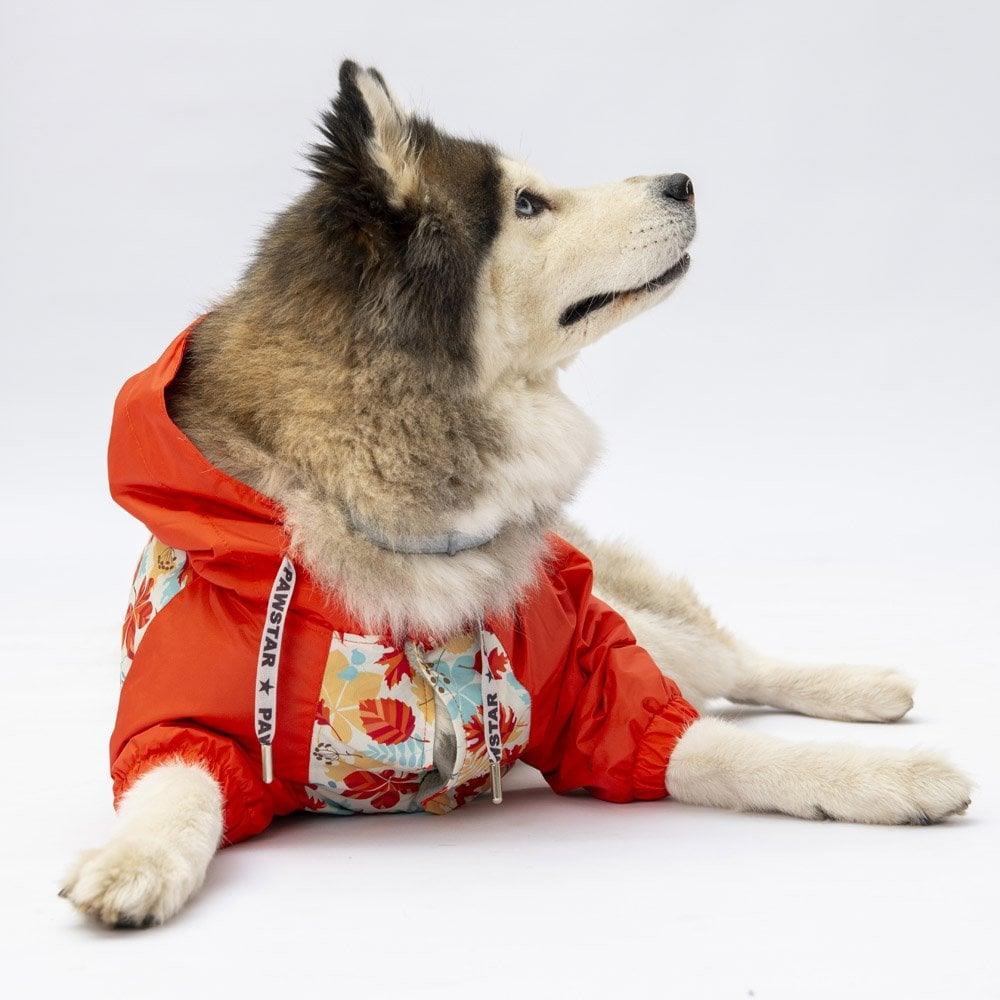 PawStar 24564 Ottawa Büyük Irk Yağmurluk
