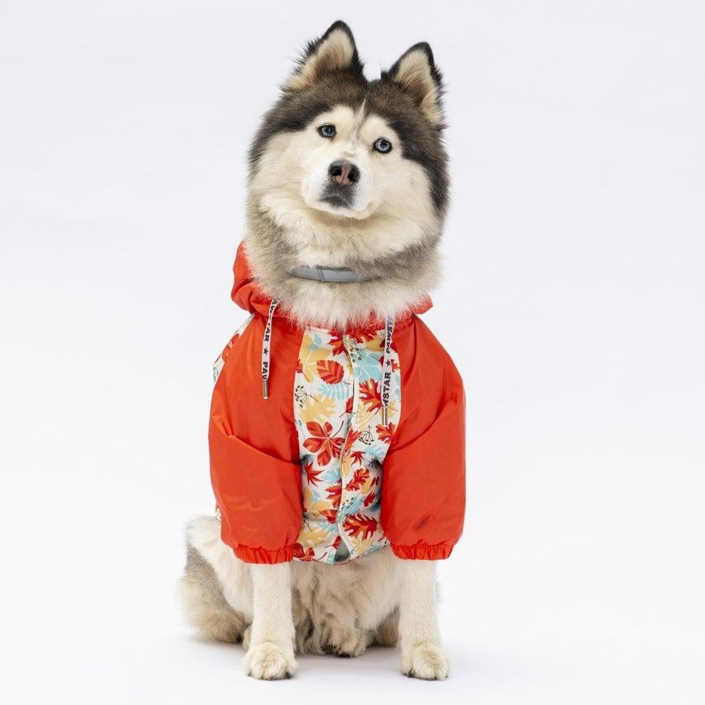 PawStar 24564 Ottawa Büyük Irk Yağmurluk