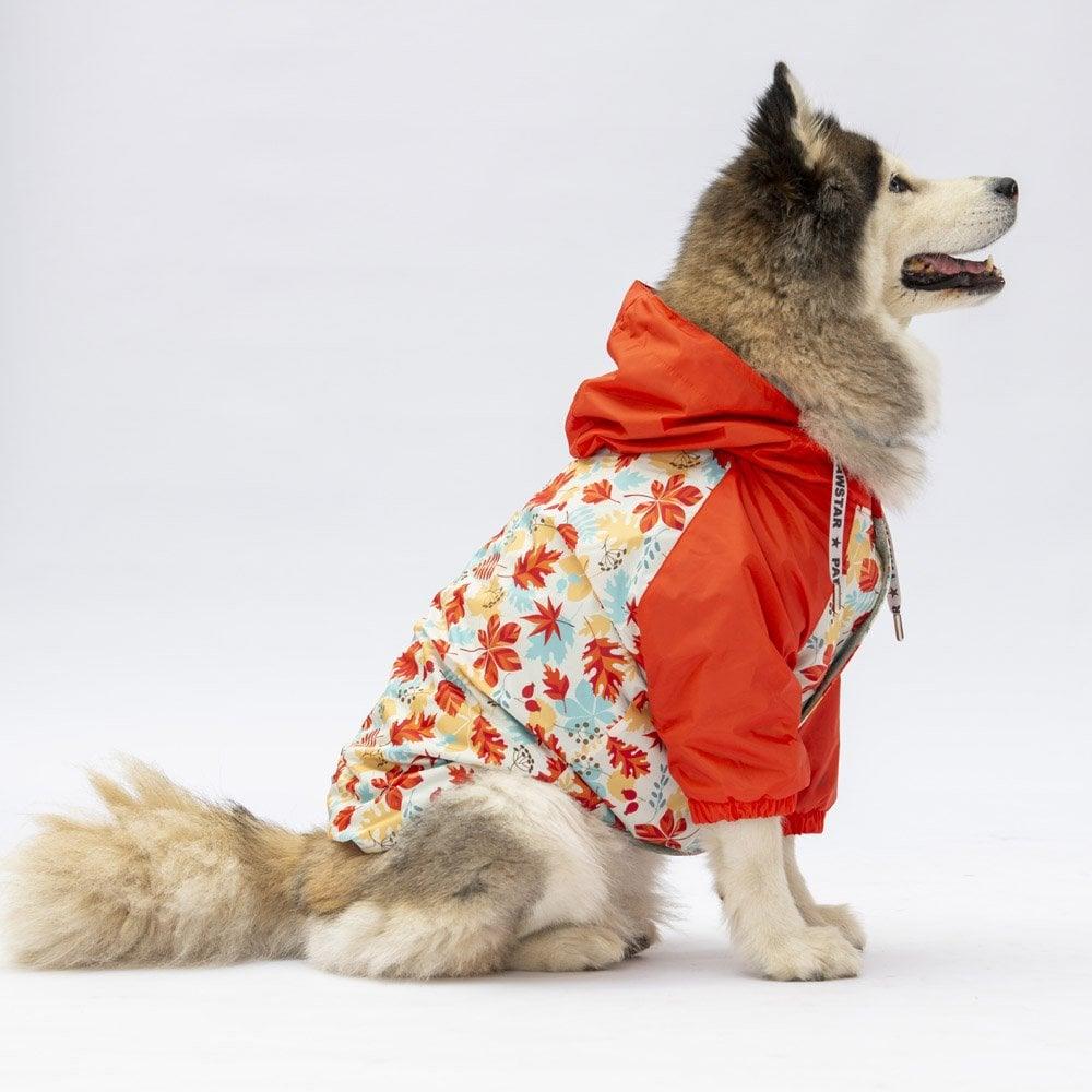 PawStar 24564 Ottawa Büyük Irk Yağmurluk