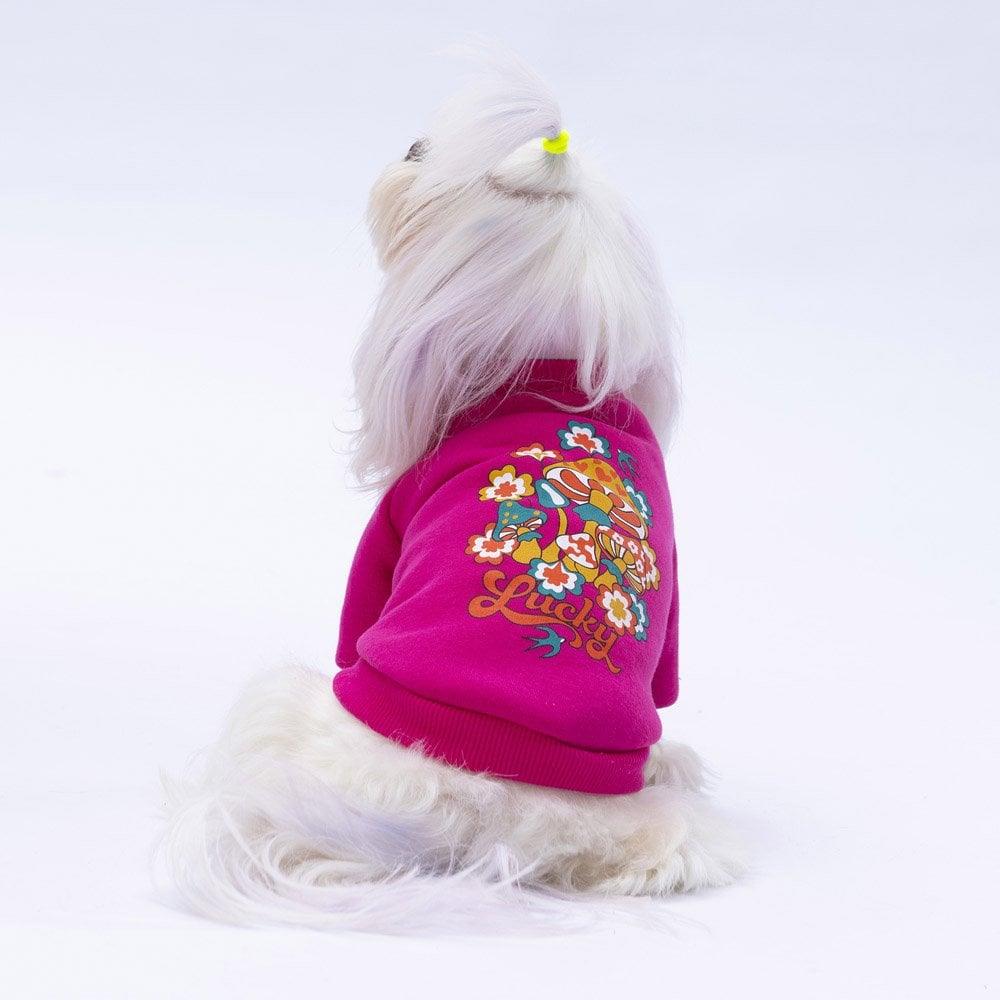 PawStar Pembe Chogqing Sweat Küçük ve Orta Irk