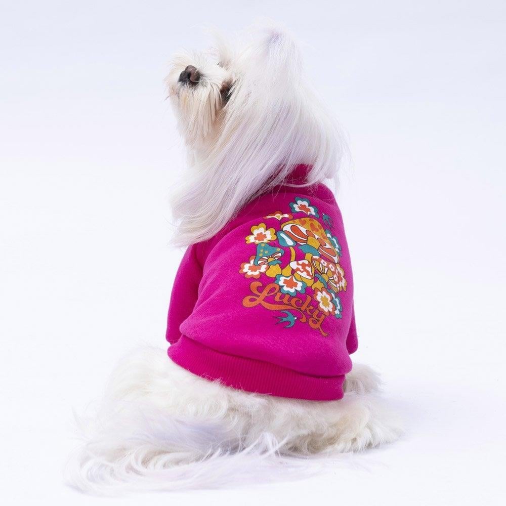 PawStar Pembe Chogqing Sweat Küçük ve Orta Irk