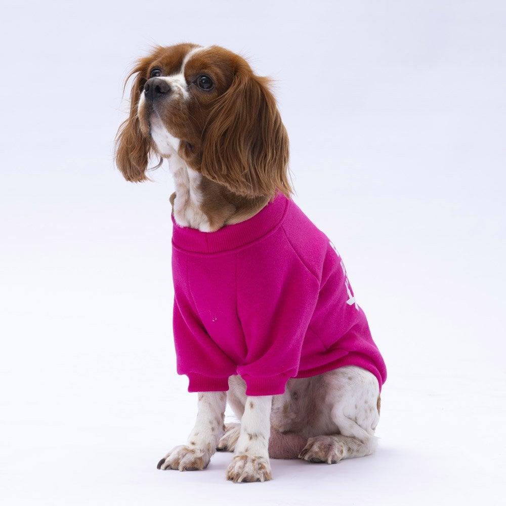 PawStar Pembe Lahti Sweat Küçük ve Orta Irk