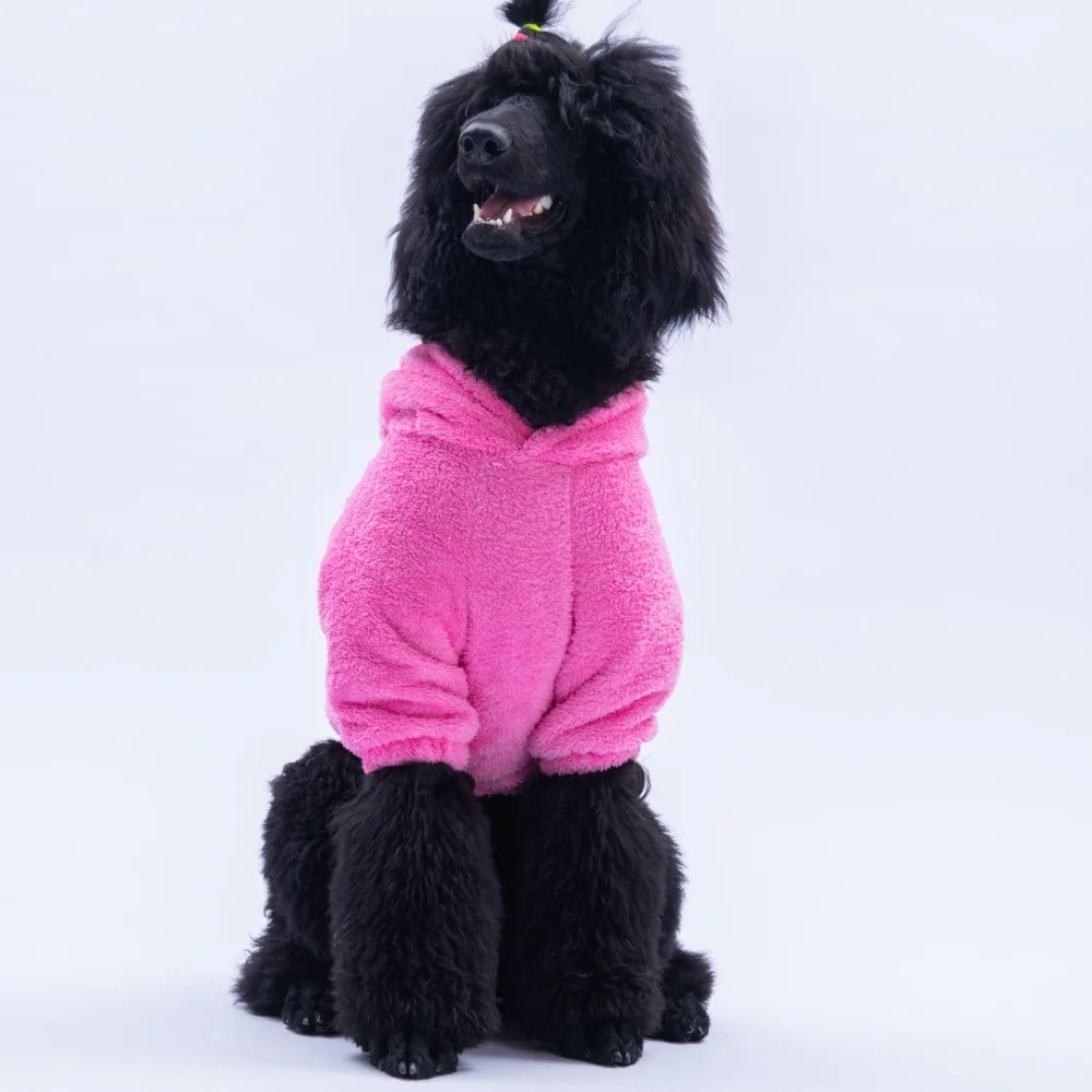 PawStar Pembe Lucca Teddy Büyük Irk Hoodie