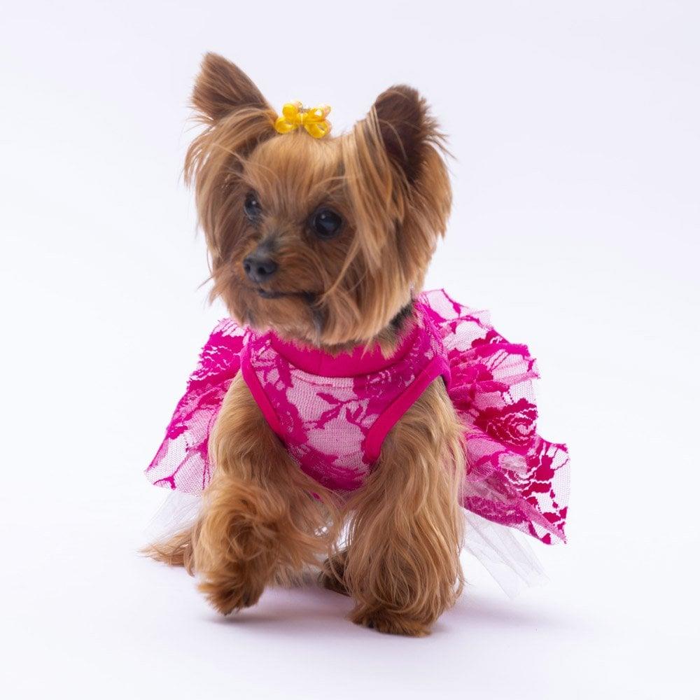 PawStar Pembe Rosa Elbise