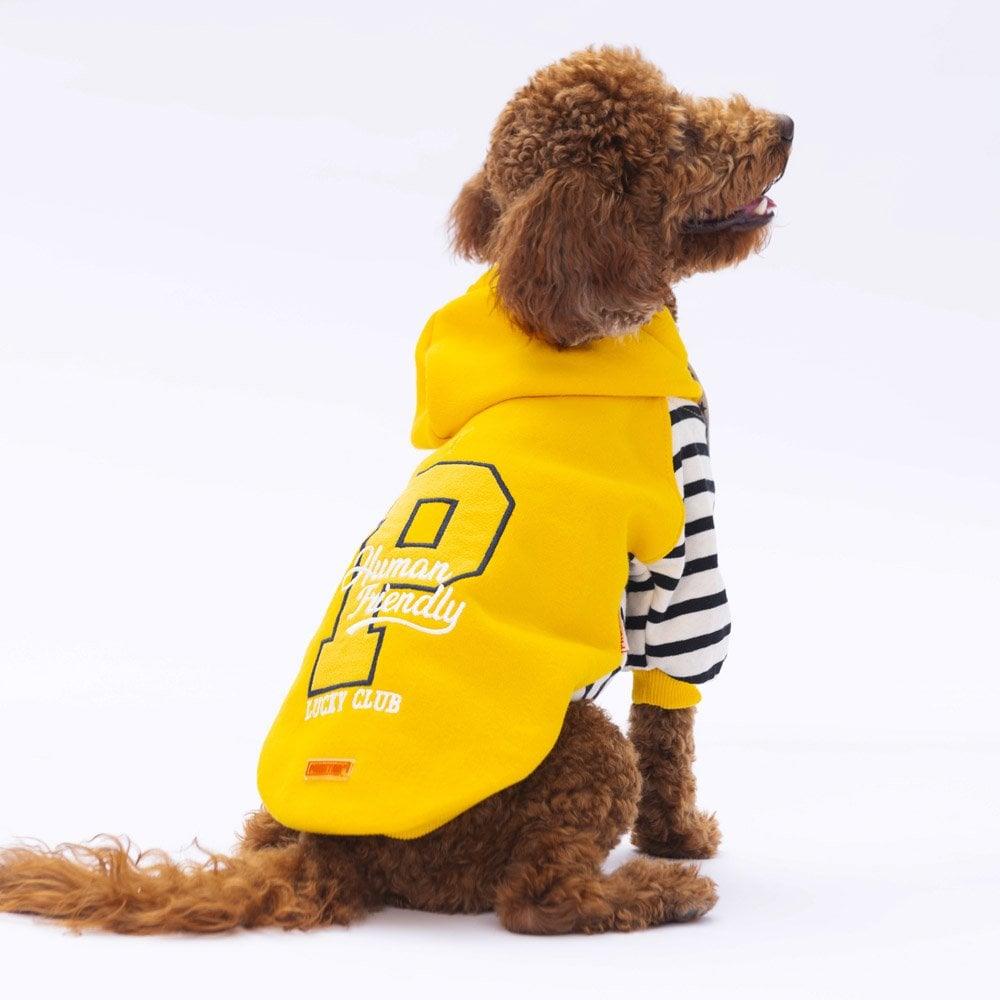 PawStar Sarı Lucky Club Hoodie Küçük ve Orta Irk