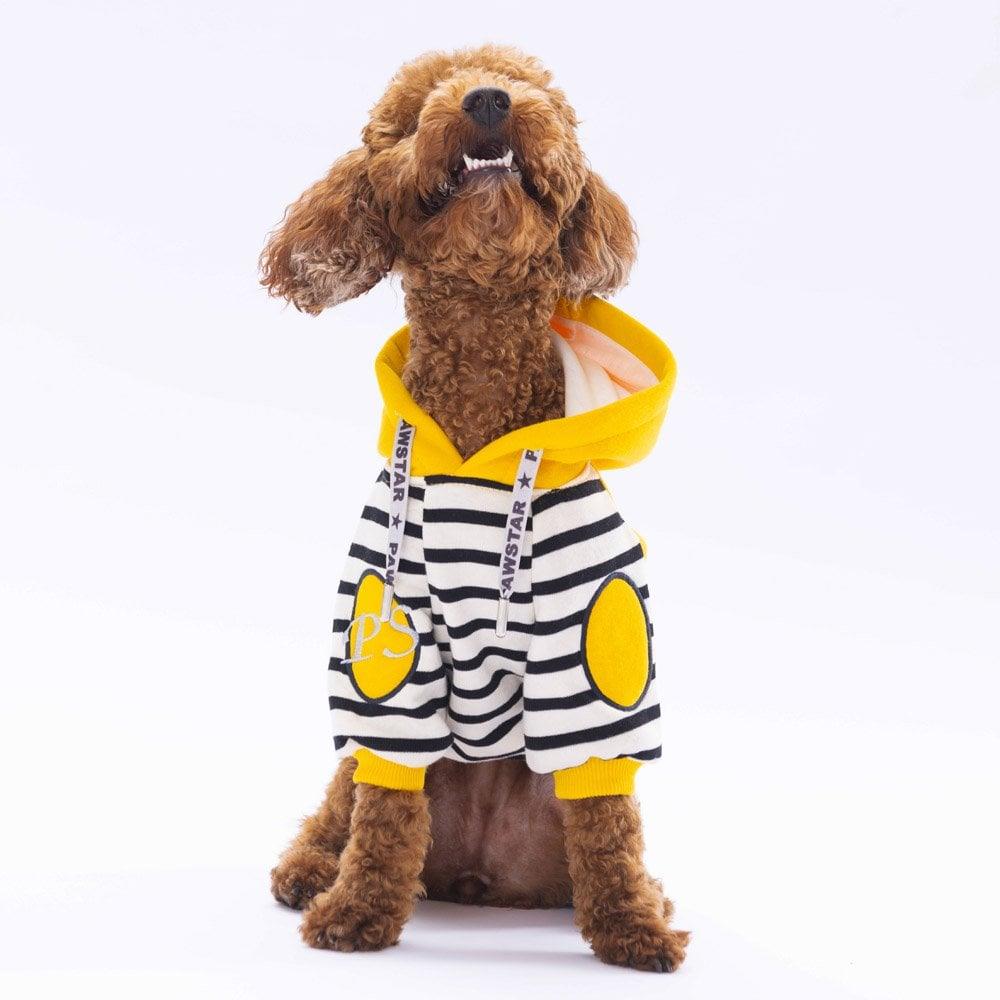 PawStar Sarı Lucky Club Hoodie Küçük ve Orta Irk