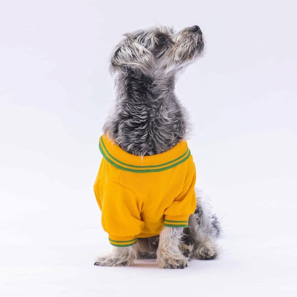 PawStar Yellow Marine Polo Neck T-Shirt