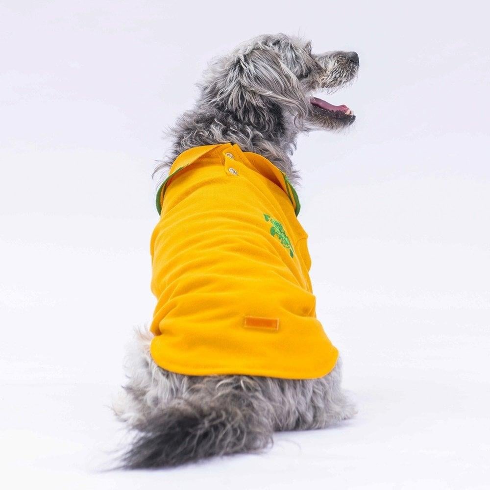 PawStar Yellow Marine Polo Neck T-Shirt