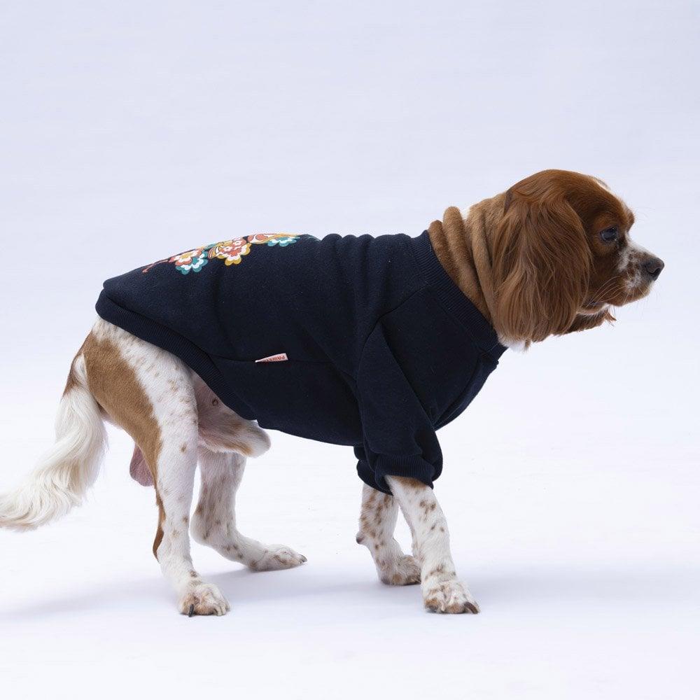 PawStar Siyah Chogqing Sweat Küçük ve Orta Irk