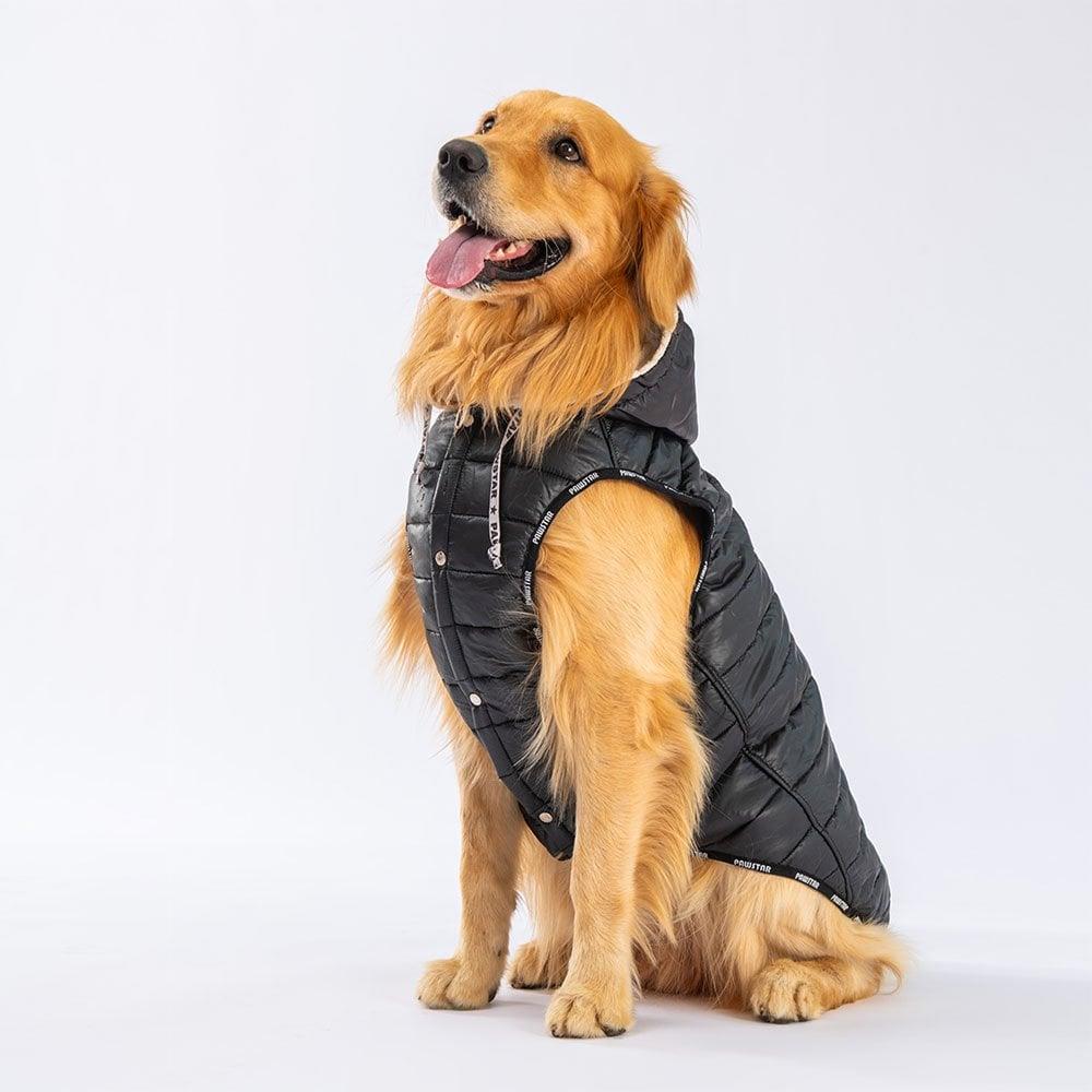 PawStar Black Railway Large Breed Vest