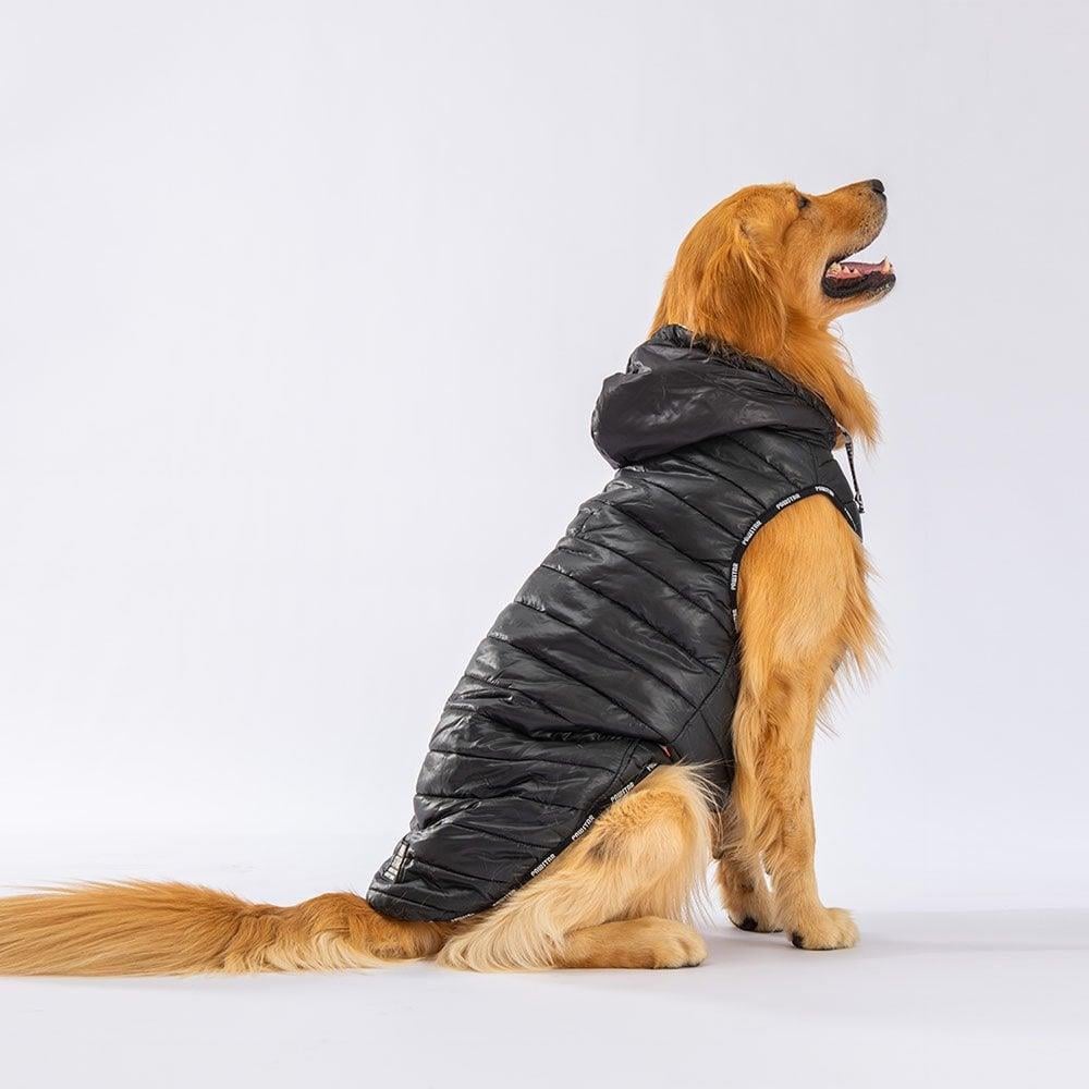 PawStar Black Railway Large Breed Vest