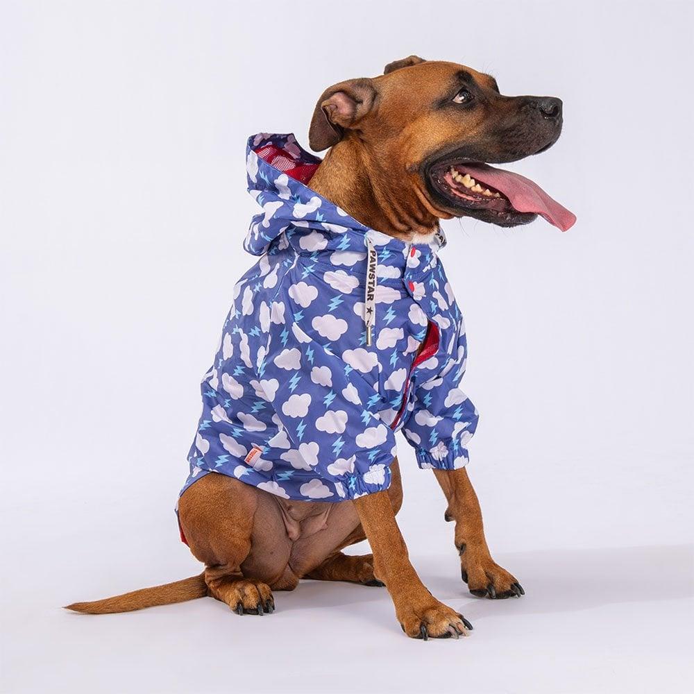 PawStar Tonitruum Büyük Irk Yağmurluk
